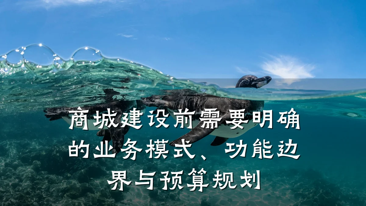 商城建设前需要明确的业务模式、功能边界与预算规划