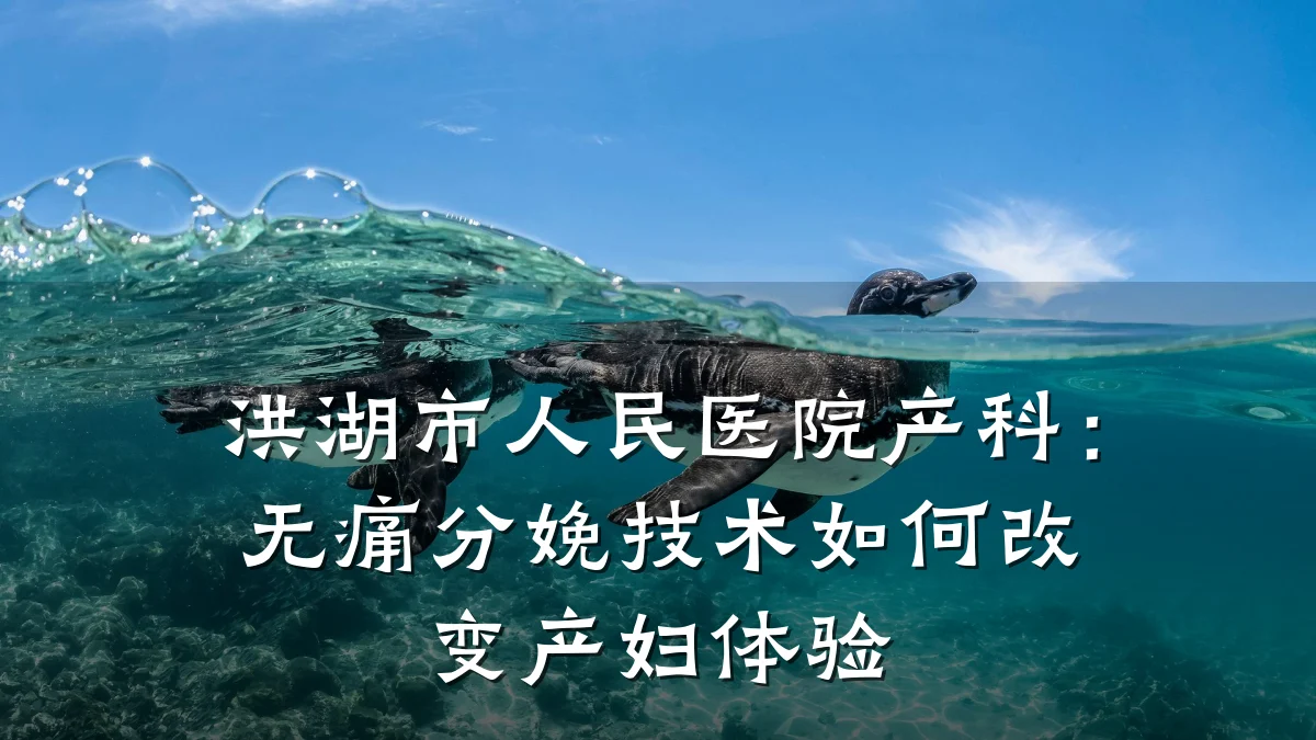 洪湖市人民医院产科：无痛分娩技术如何改变产妇体验