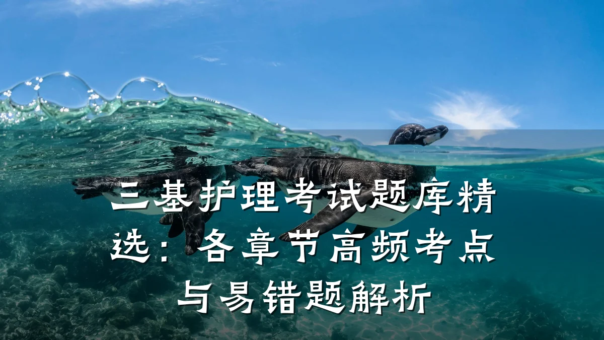 三基护理考试题库精选:各章节高频考点与易错题解析