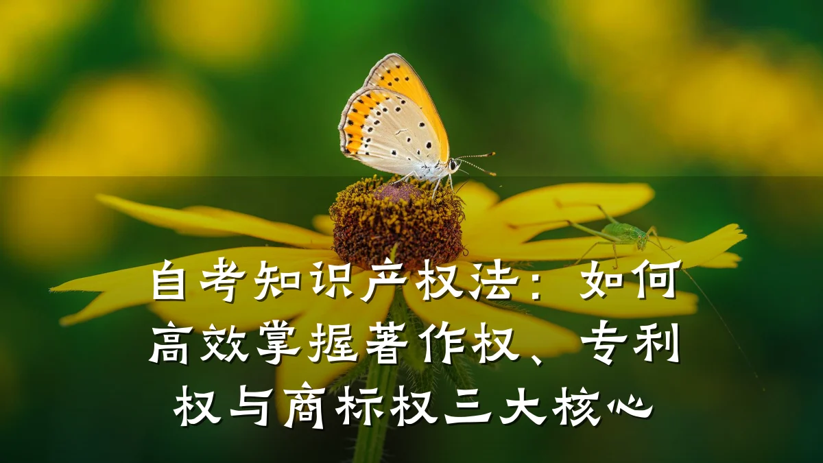 自考知识产权法:如何高效掌握著作权、专利权与商标权三大核心