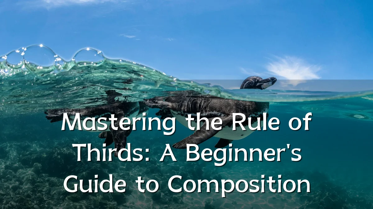 Mastering the Rule of Thirds: A Beginner's Guide to Composition