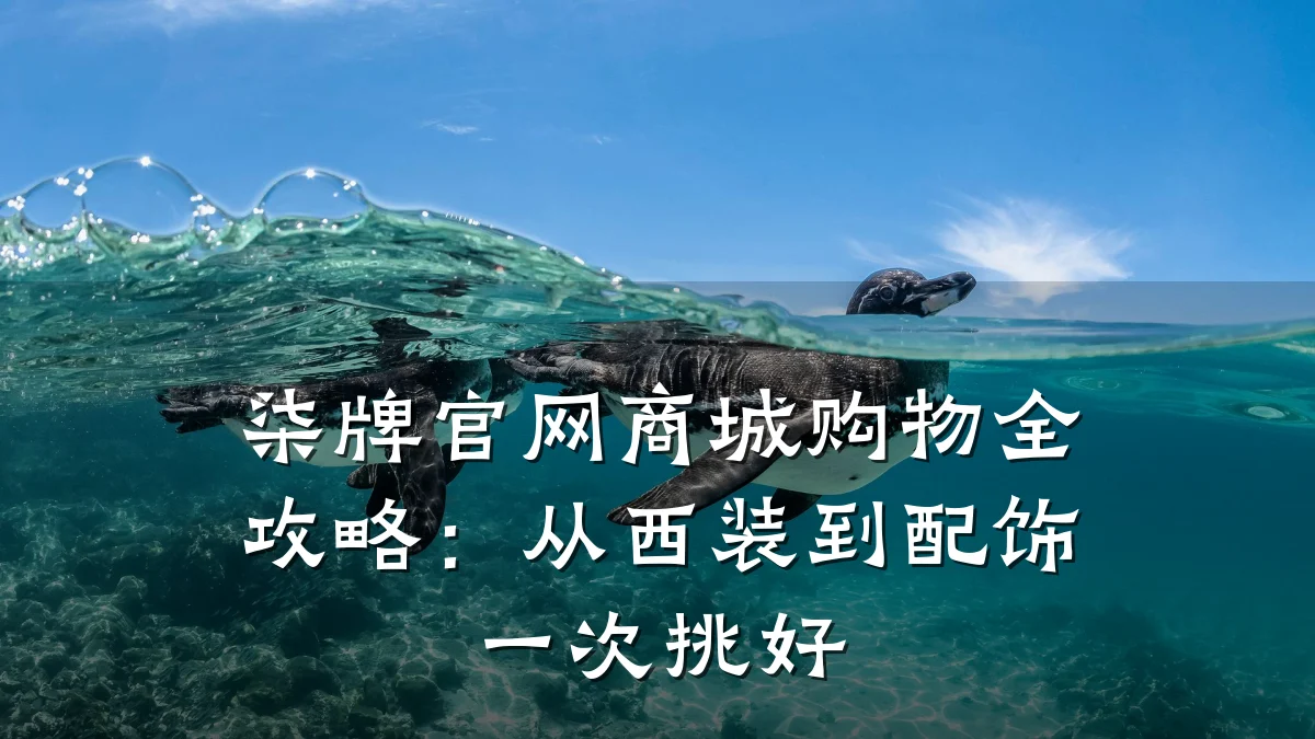 柒牌官网商城购物全攻略：从西装到配饰一次挑好
