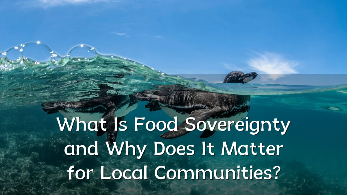 What Is Food Sovereignty and Why Does It Matter for Local Communities?