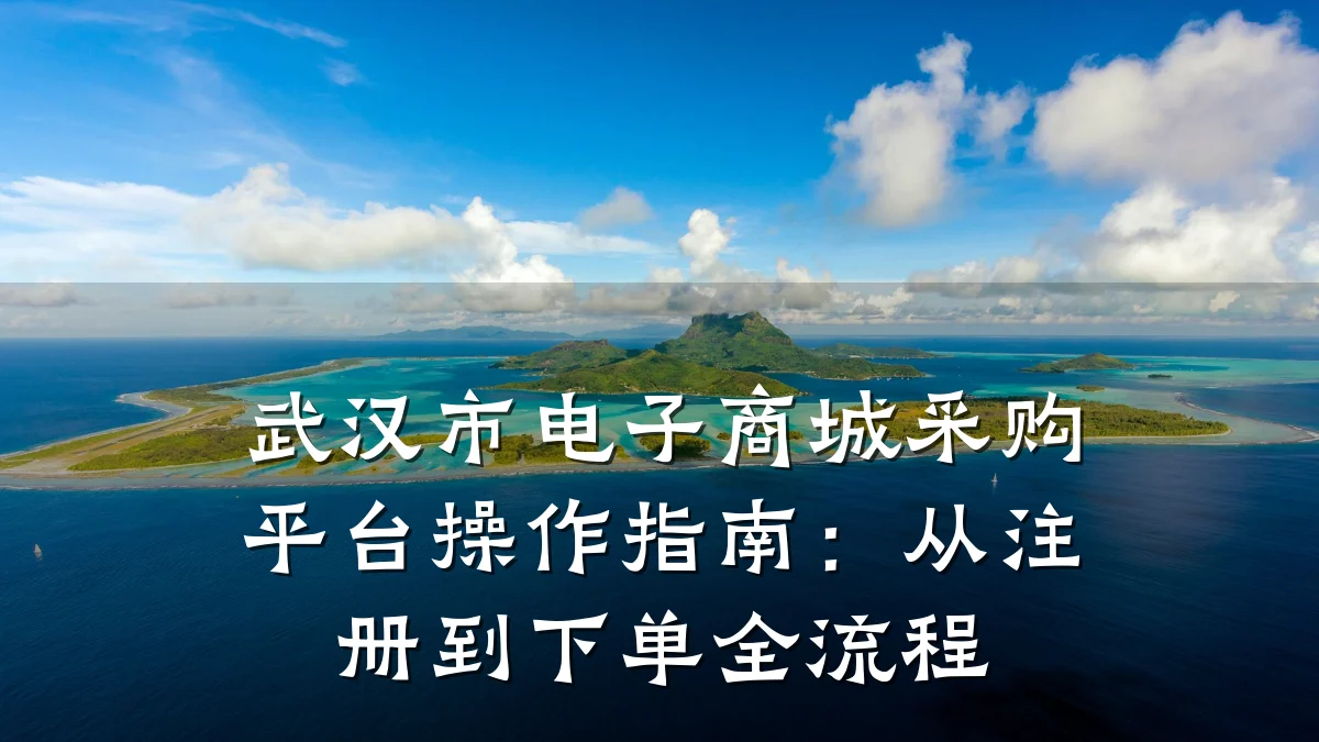 武汉市电子商城采购平台操作指南：从注册到下单全流程