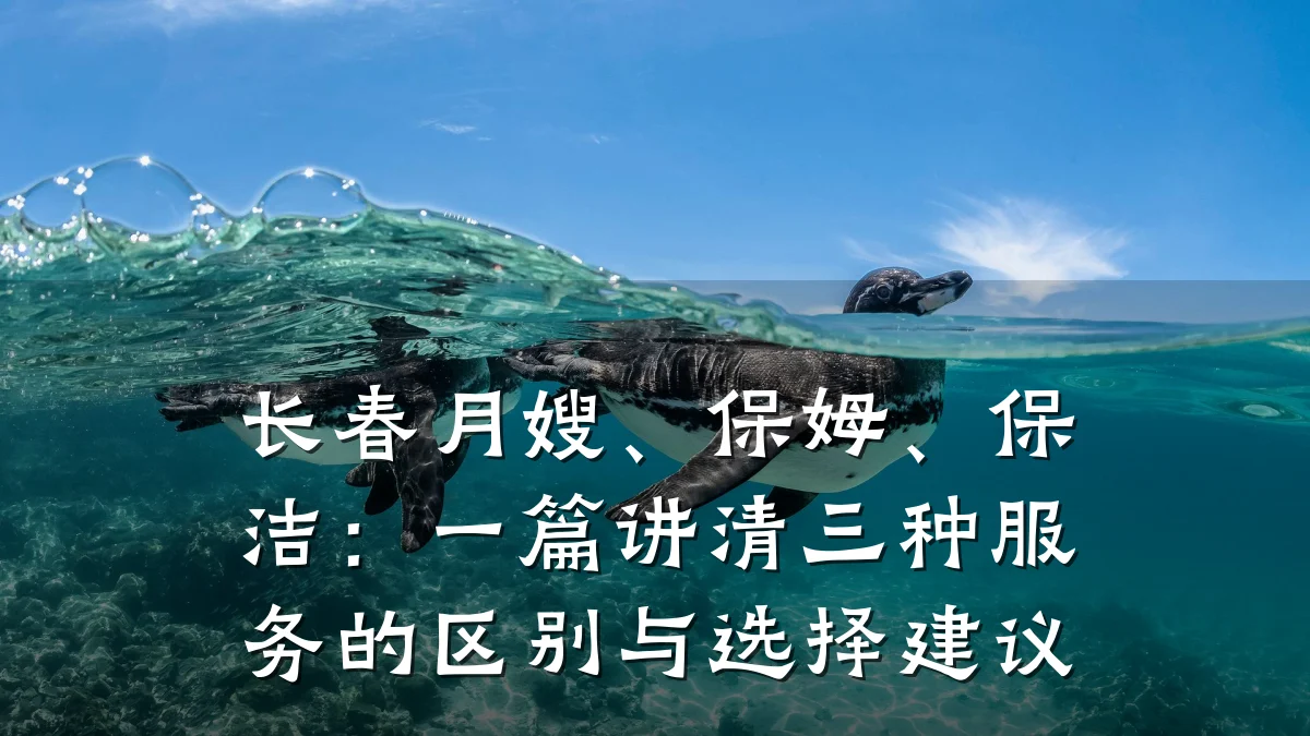 长春月嫂、保姆、保洁：一篇讲清三种服务的区别与选择建议