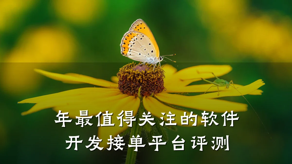 年最值得关注的软件开发接单平台评测