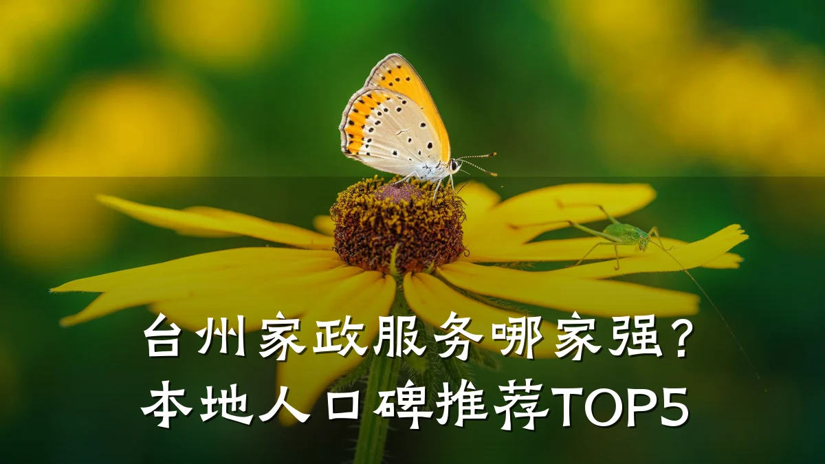 台州家政服务哪家强？本地人口碑推荐TOP5