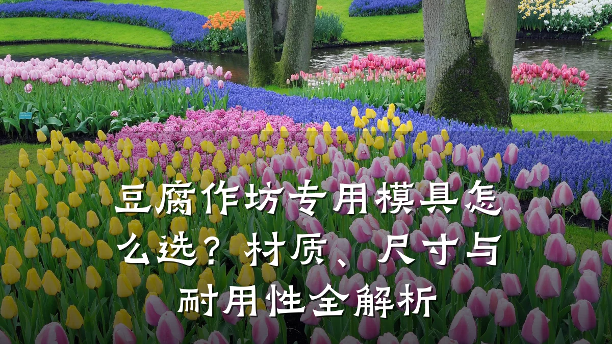 豆腐作坊专用模具怎么选？材质、尺寸与耐用性全解析