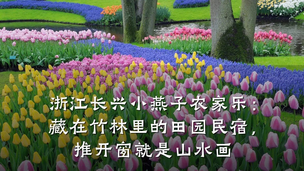 浙江长兴小燕子农家乐:藏在竹林里的田园民宿,推开窗就是山水画