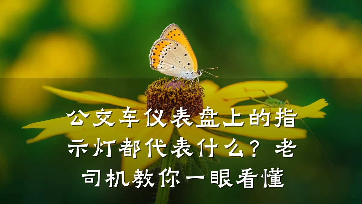 公交车仪表盘上的指示灯都代表什么?老司机教你一眼看懂
