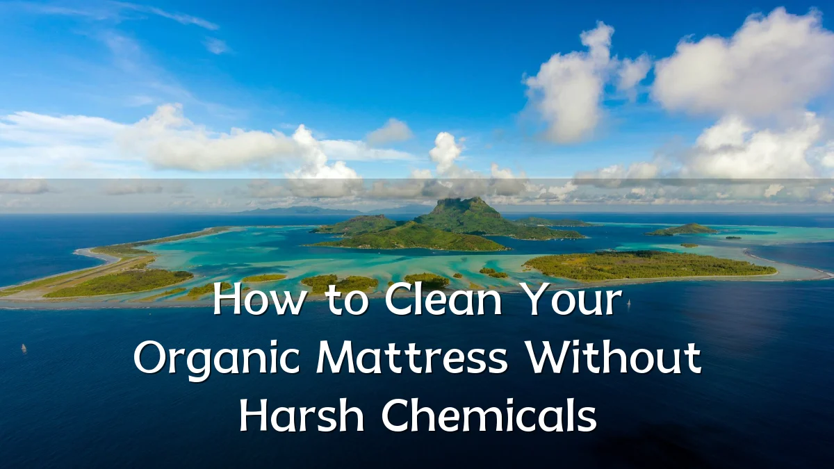 How to Clean Your Organic Mattress Without Harsh Chemicals