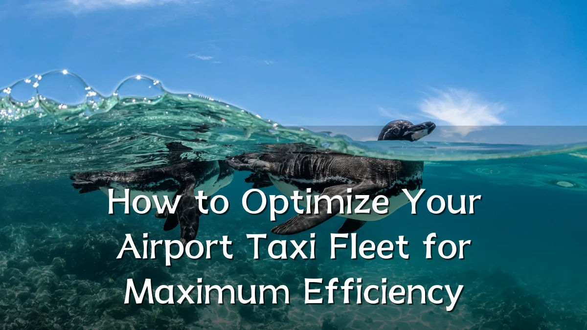 How to Optimize Your Airport Taxi Fleet for Maximum Efficiency