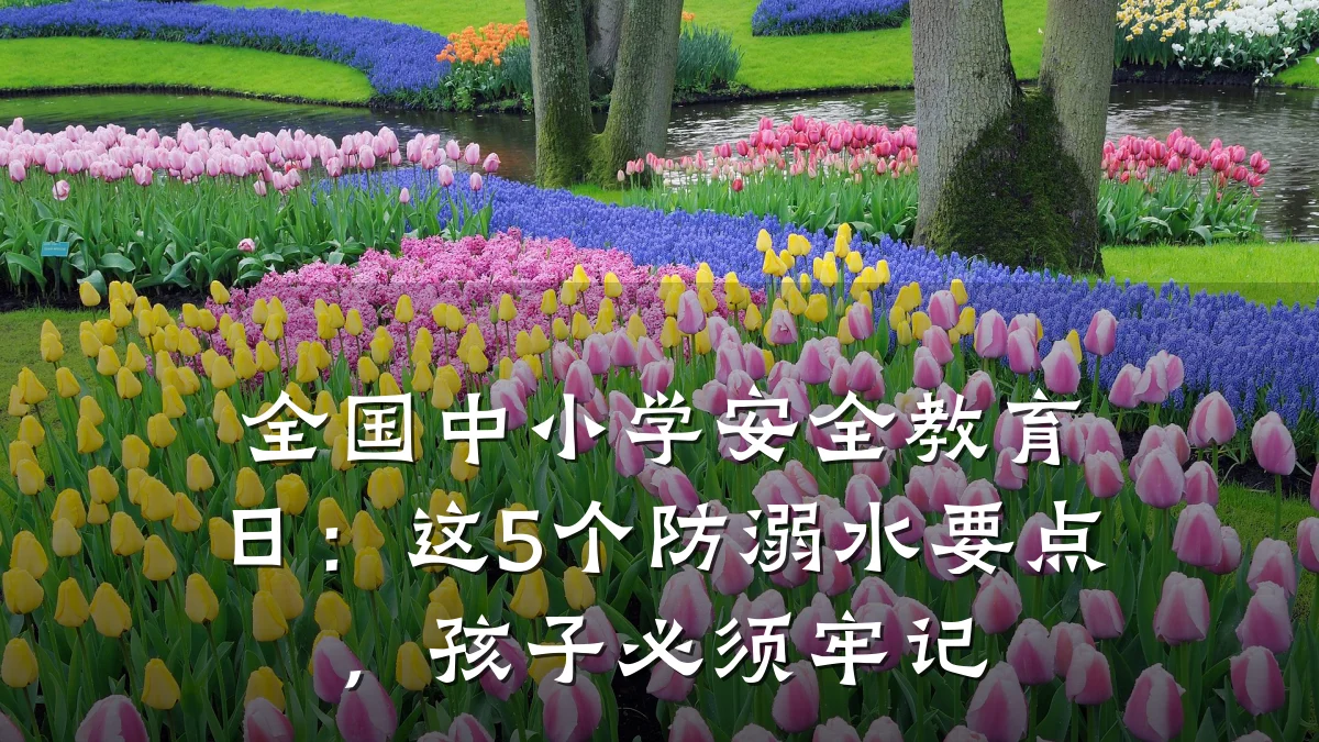全国中小学安全教育日：这5个防溺水要点，孩子必须牢记