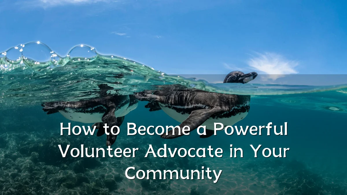How to Become a Powerful Volunteer Advocate in Your Community