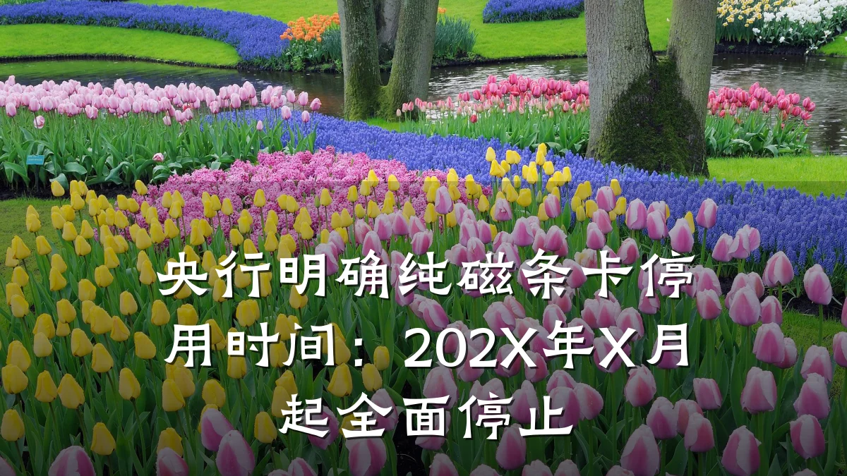 央行明确纯磁条卡停用时间：202X年X月起全面停止