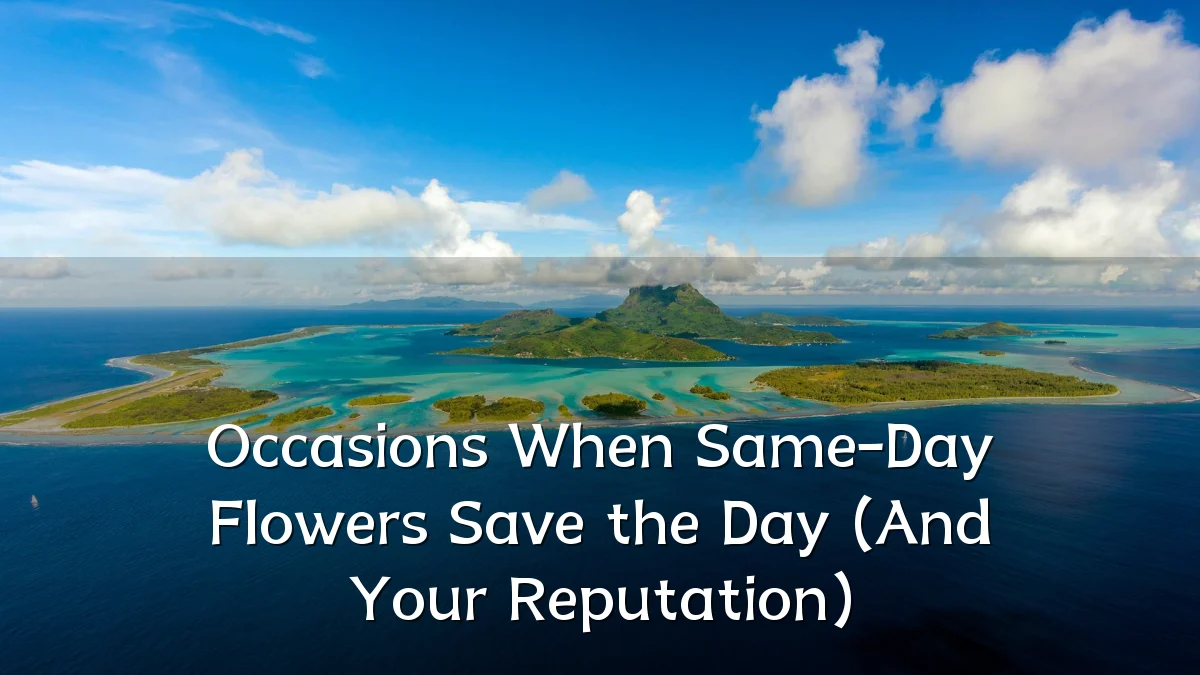 Occasions When Same-Day Flowers Save the Day (And Your Reputation)