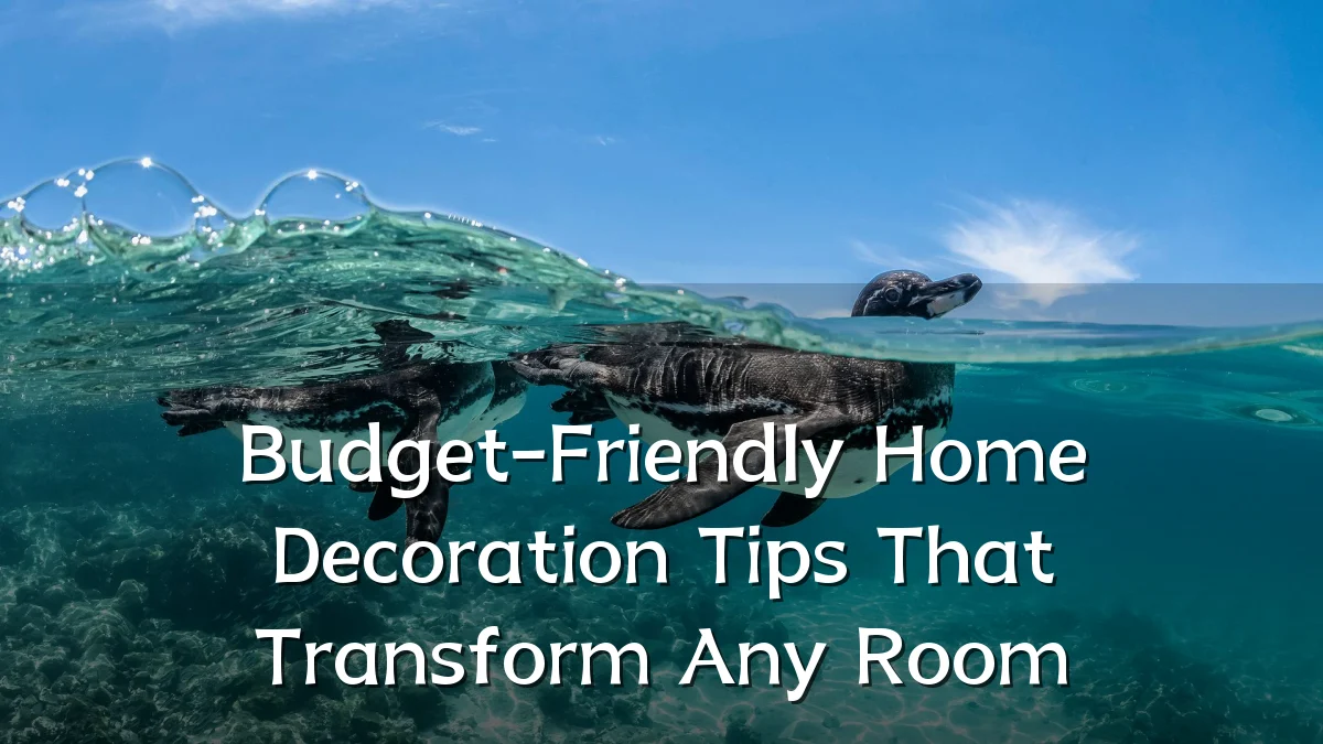 Budget-Friendly Home Decoration Tips That Transform Any Room
