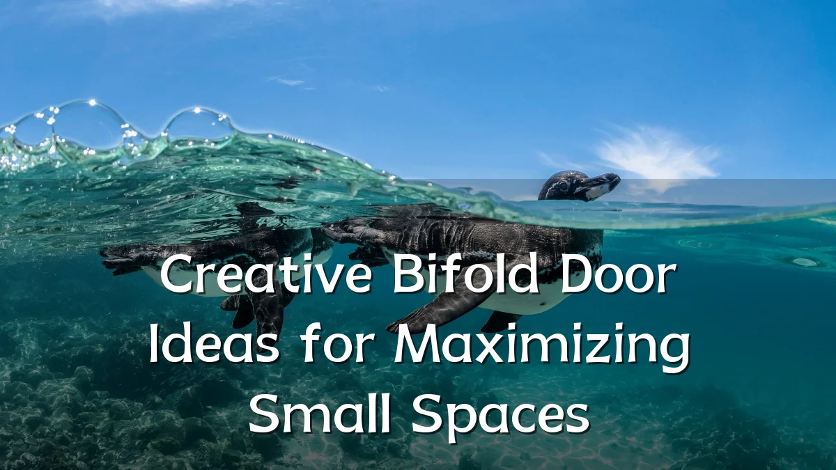 Creative Bifold Door Ideas for Maximizing Small Spaces