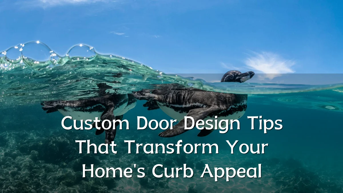 Custom Door Design Tips That Transform Your Home's Curb Appeal