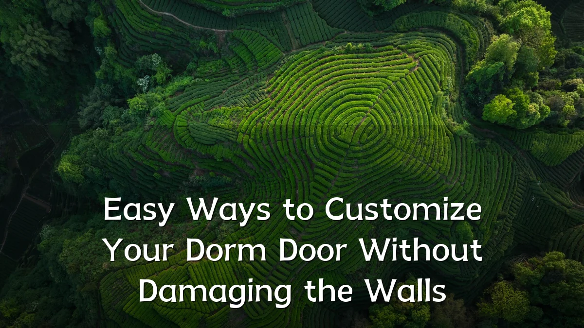 Easy Ways to Customize Your Dorm Door Without Damaging the Walls
