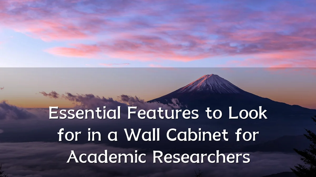 Essential Features to Look for in a Wall Cabinet for Academic Researchers