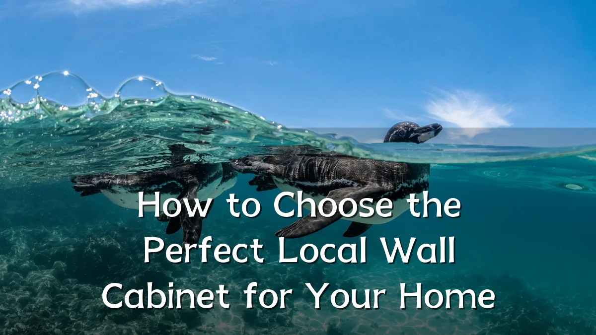 How to Choose the Perfect Local Wall Cabinet for Your Home