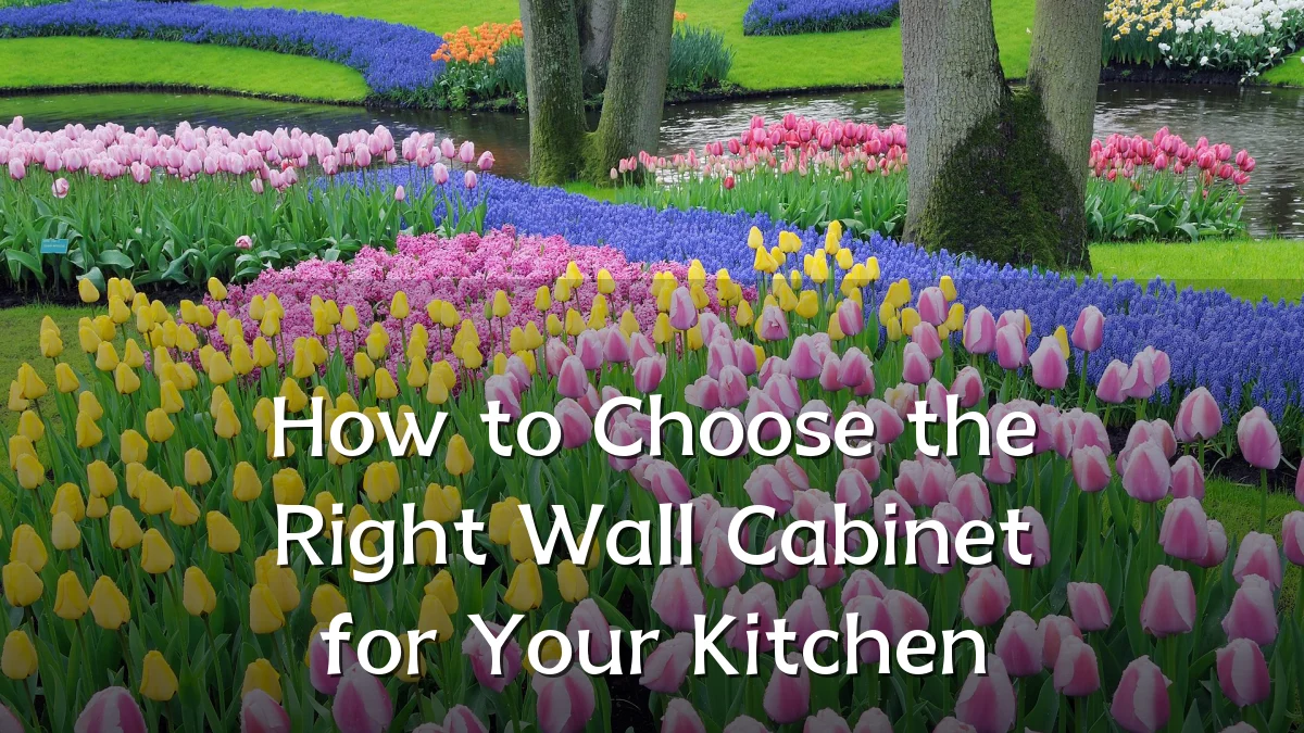 How to Choose the Right Wall Cabinet for Your Kitchen