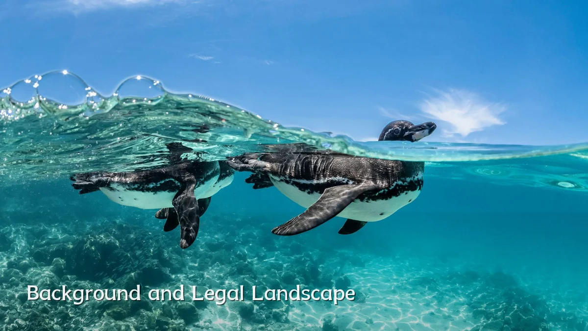 Background and Legal Landscape