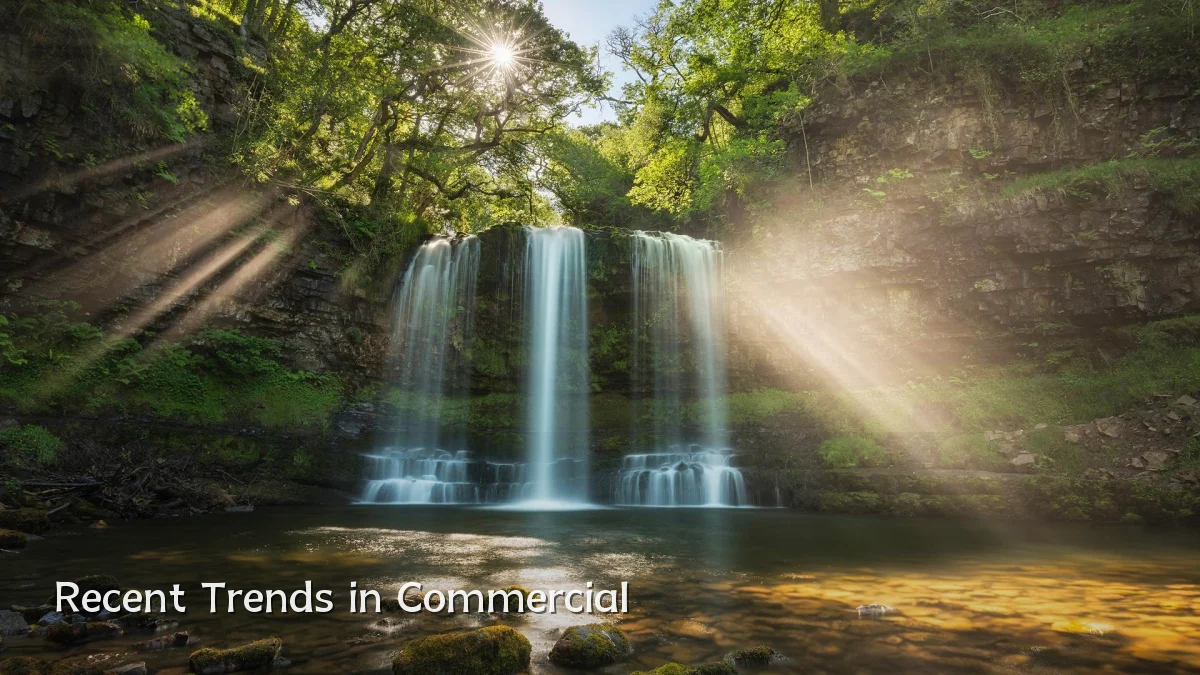 Recent Trends in Commercial