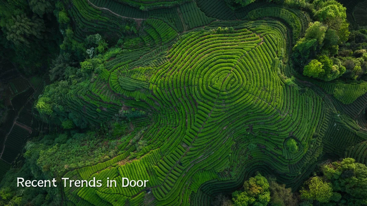 Recent Trends in Door