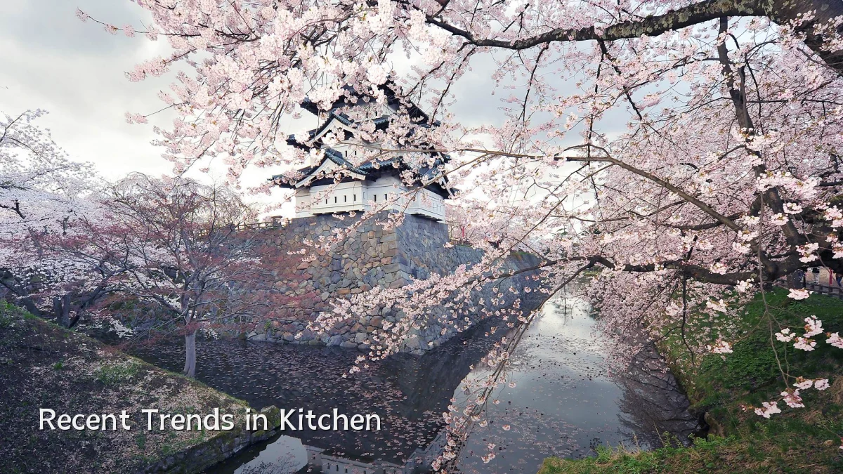 Recent Trends in Kitchen