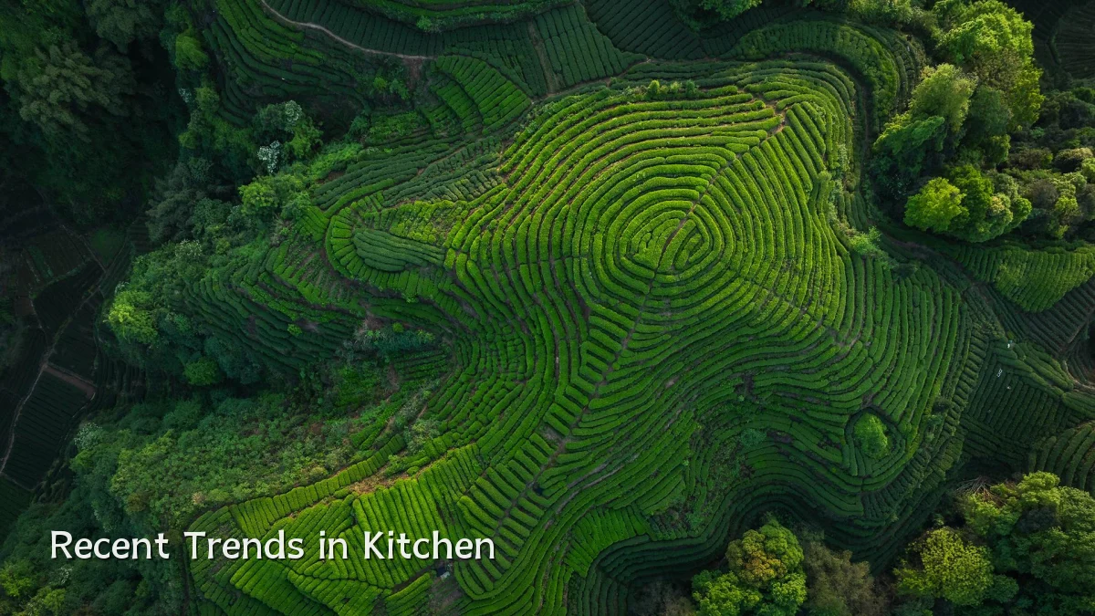 Recent Trends in Kitchen