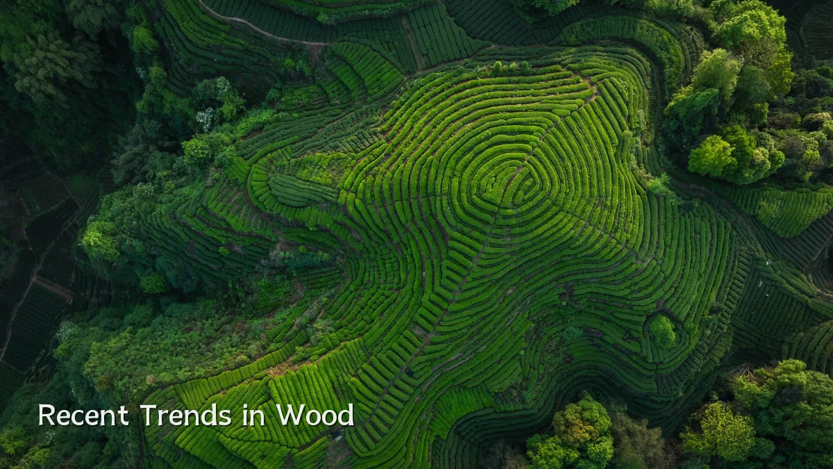 Recent Trends in Wood