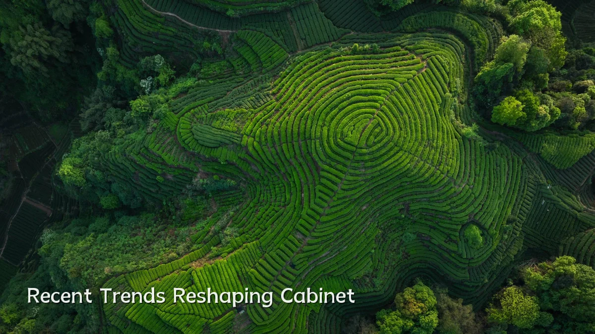 Recent Trends Reshaping Cabinet