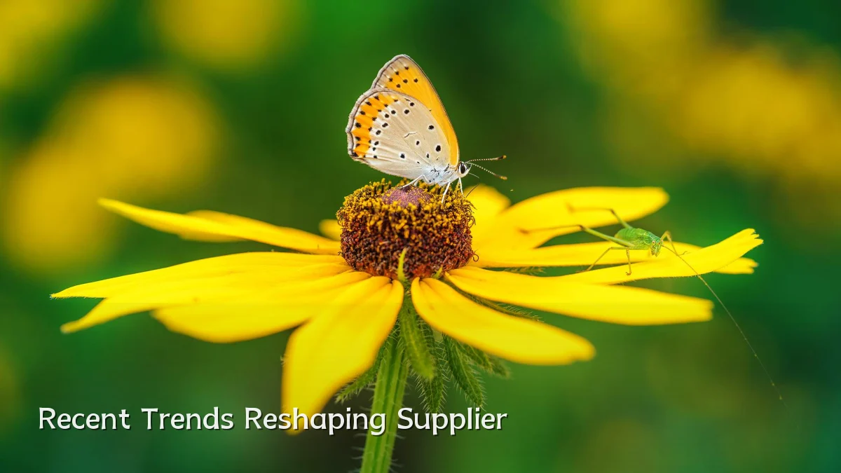 Recent Trends Reshaping Supplier
