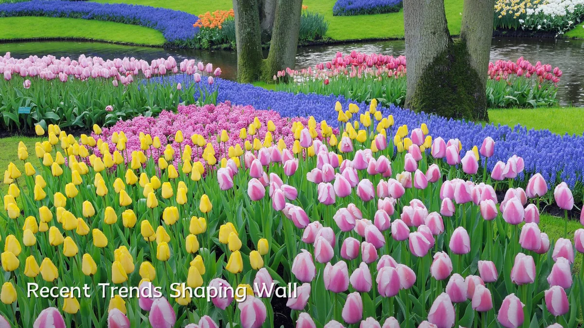 Recent Trends Shaping Wall