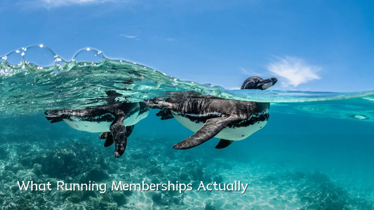 What Running Memberships Actually