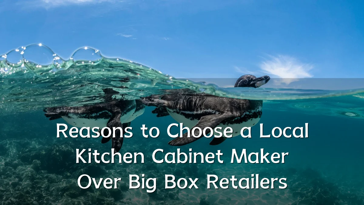 Reasons to Choose a Local Kitchen Cabinet Maker Over Big Box Retailers