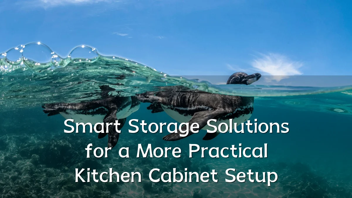 Smart Storage Solutions for a More Practical Kitchen Cabinet Setup