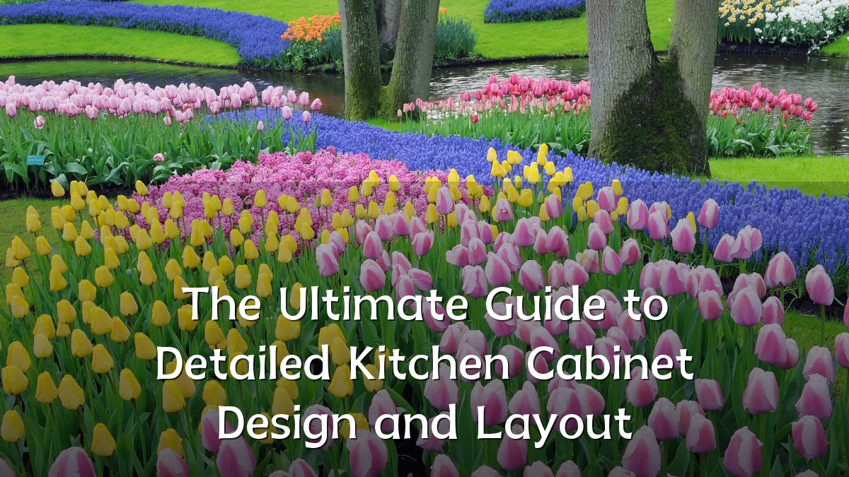 The Ultimate Guide to Detailed Kitchen Cabinet Design and Layout