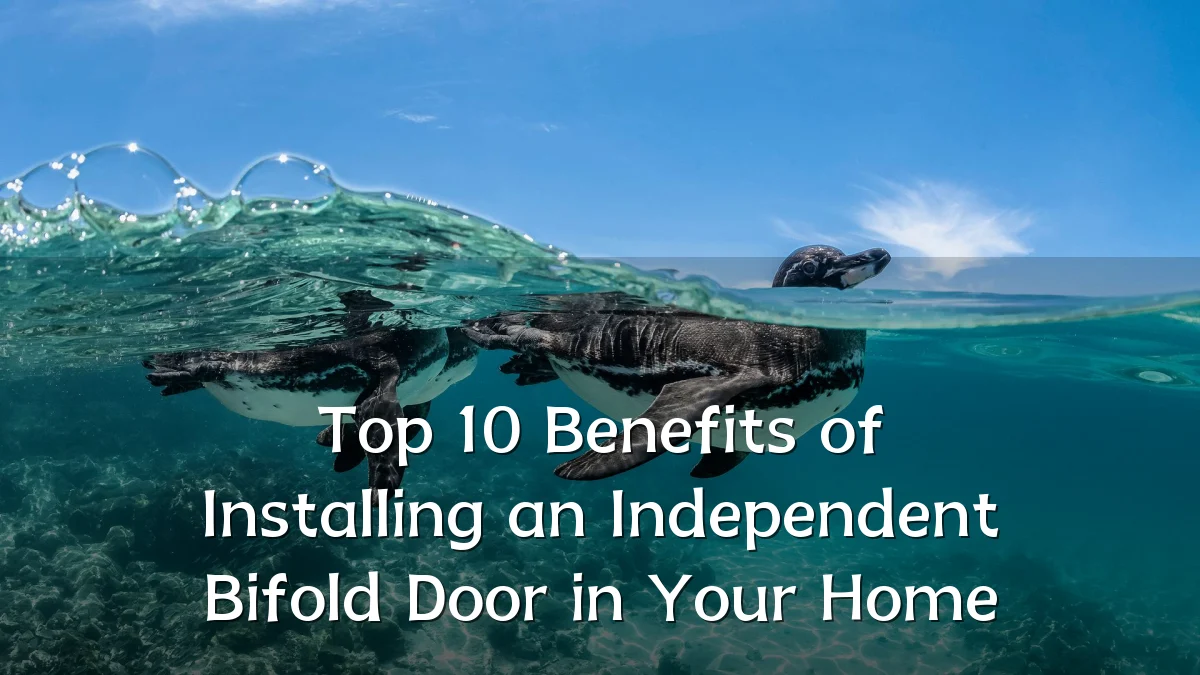 Top 10 Benefits of Installing an Independent Bifold Door in Your Home
