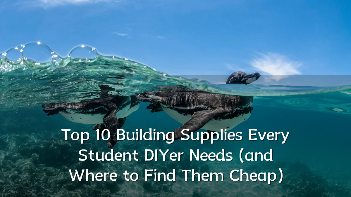 Top 10 Building Supplies Every Student DIYer Needs (and Where to Find Them Cheap)
