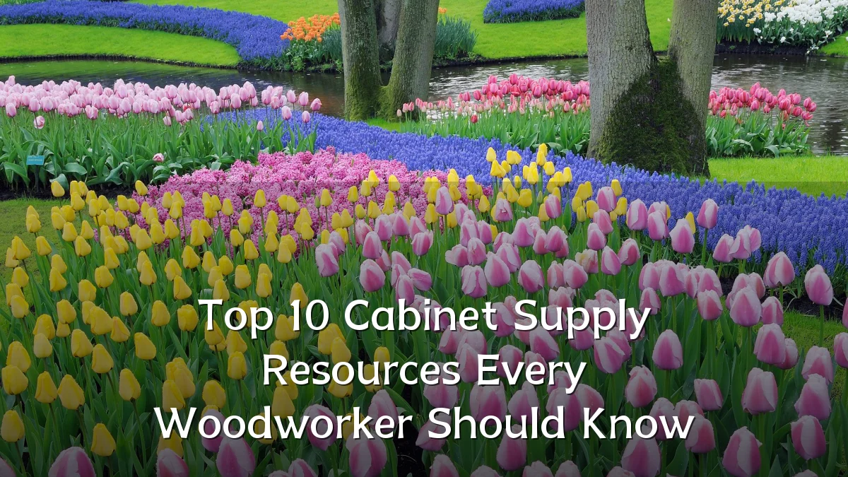 Top 10 Cabinet Supply Resources Every Woodworker Should Know