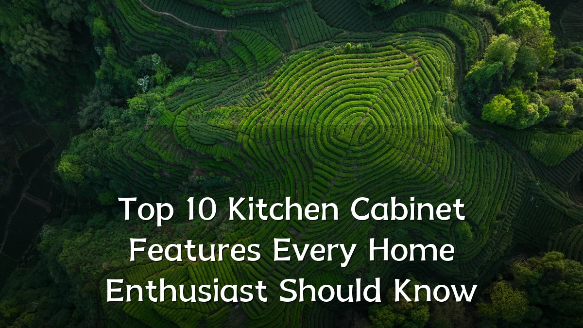 Top 10 Kitchen Cabinet Features Every Home Enthusiast Should Know
