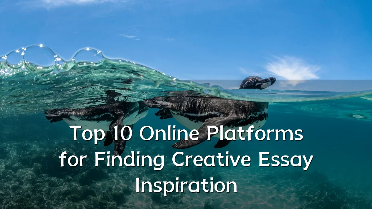 Top 10 Online Platforms for Finding Creative Essay Inspiration