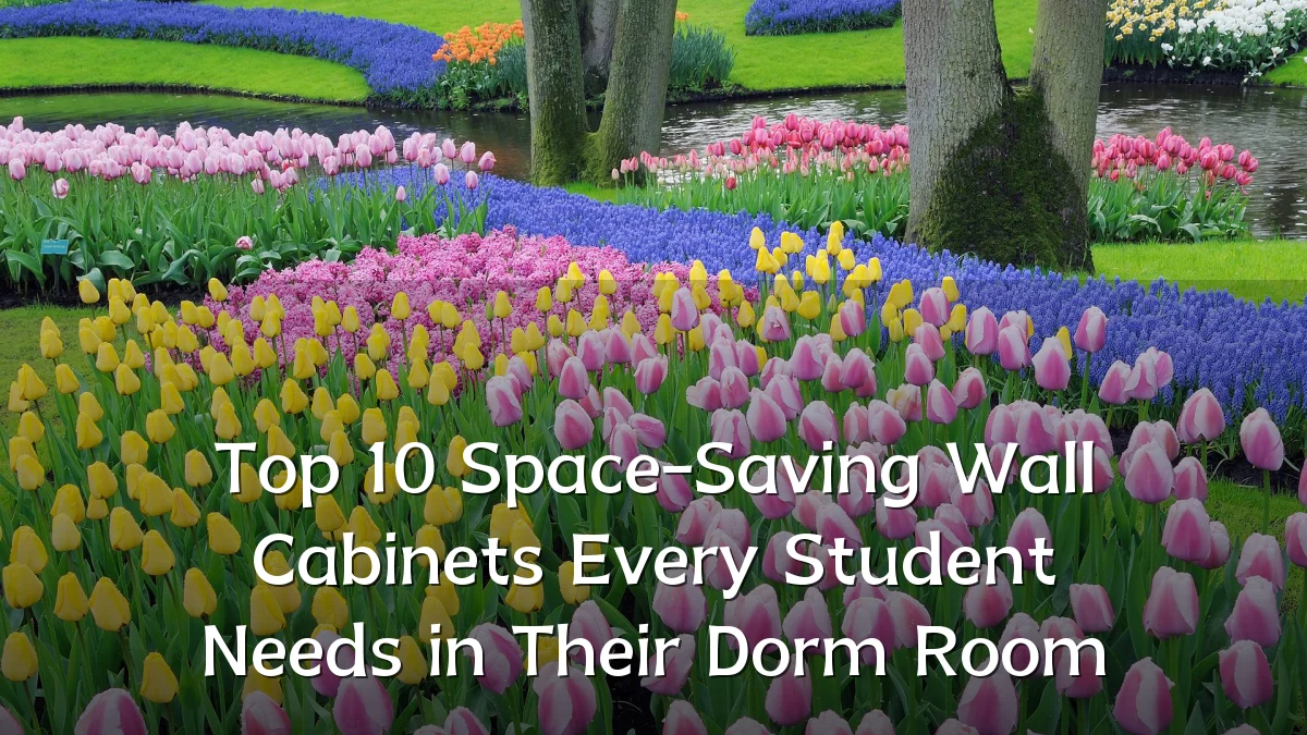 Top 10 Space-Saving Wall Cabinets Every Student Needs in Their Dorm Room