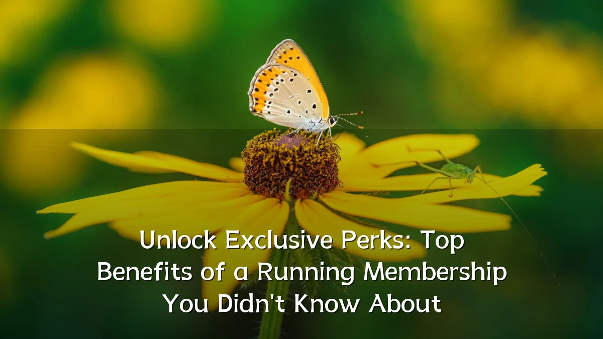 Unlock Exclusive Perks: Top Benefits of a Running Membership You Didn't Know About