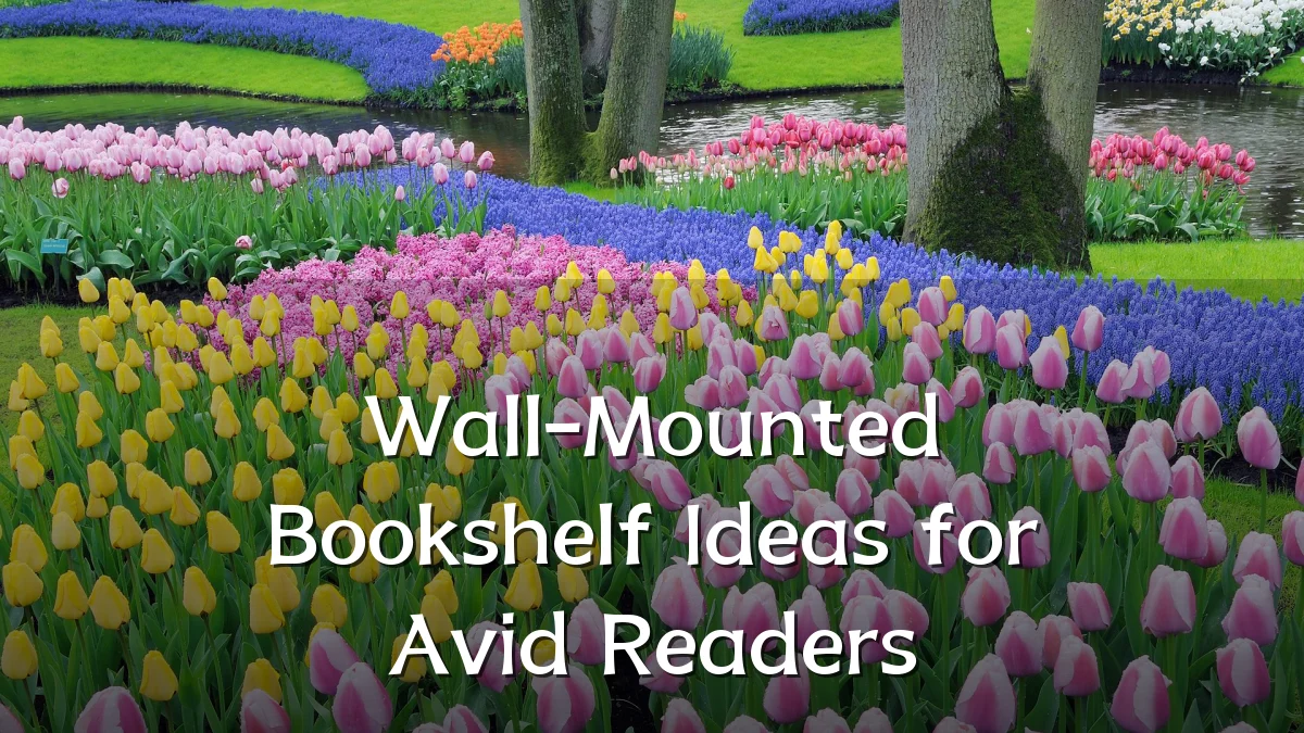 Wall-Mounted Bookshelf Ideas for Avid Readers