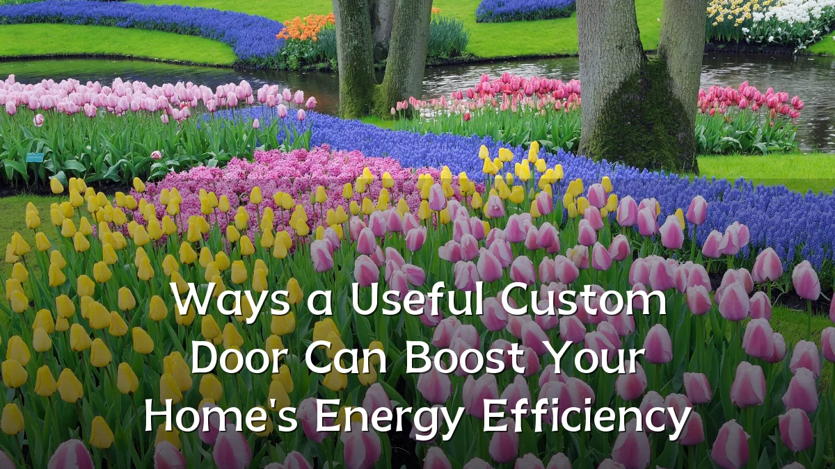 Ways a Useful Custom Door Can Boost Your Home's Energy Efficiency