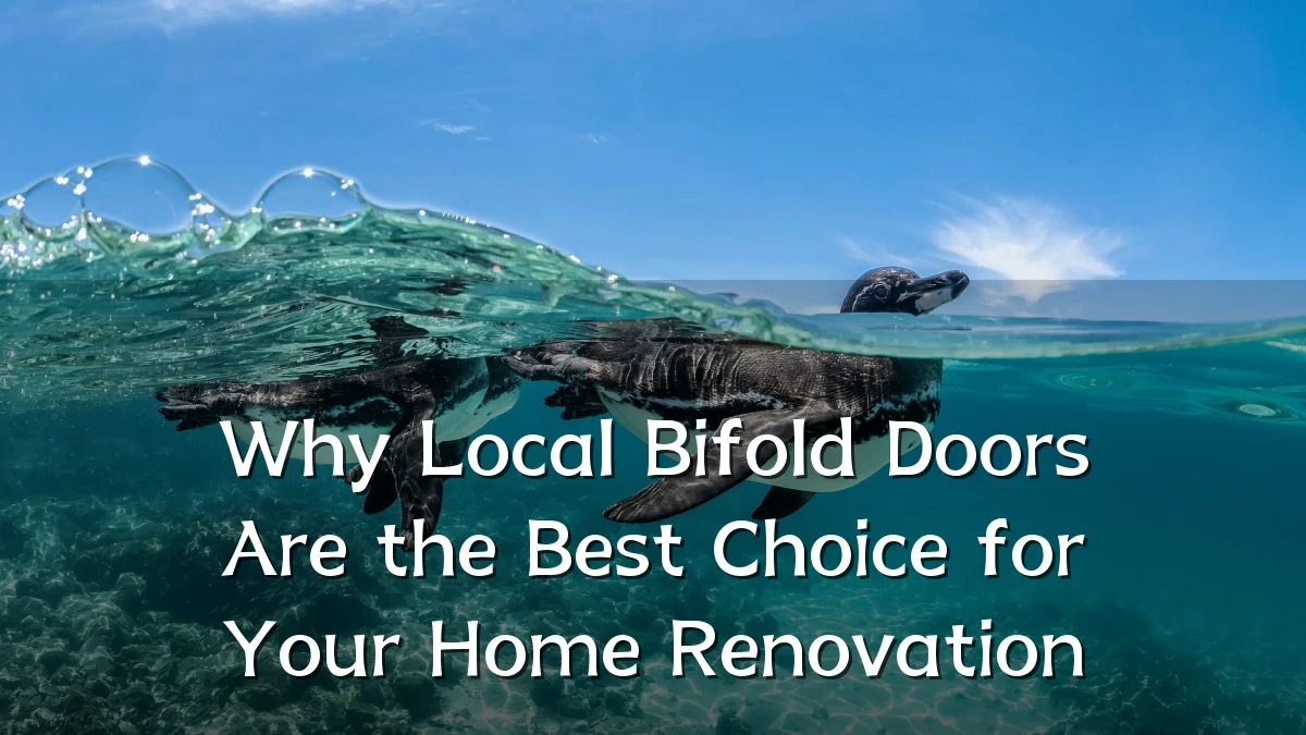 Why Local Bifold Doors Are the Best Choice for Your Home Renovation